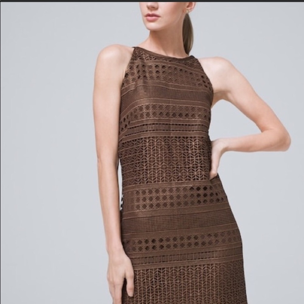 WHBM NWT Size 2 Copper Dress-Ret $180 Beautiful!!! - Picture 1 of 16